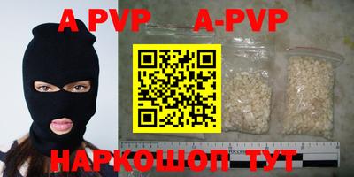 a pvp Кингисепп
