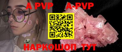 a pvp Кингисепп