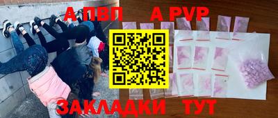 a pvp Кингисепп